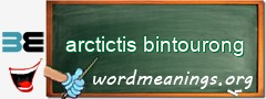 WordMeaning blackboard for arctictis bintourong